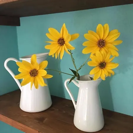 Casa Nora Bed & Breakfast